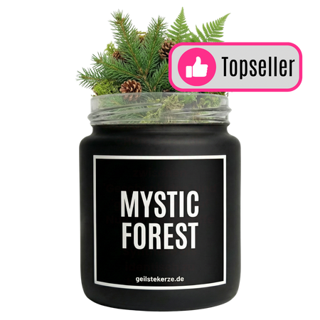 Mystic Forest